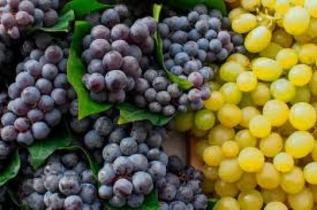 Picture for category Grapes